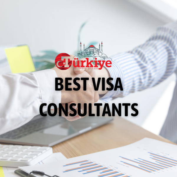 best visa consultants